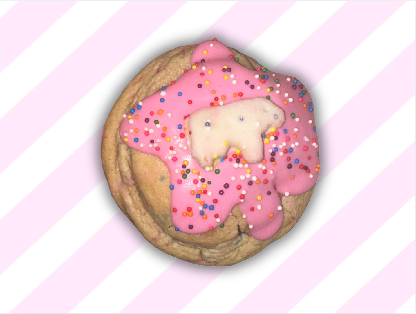 Animal Party Cookie
